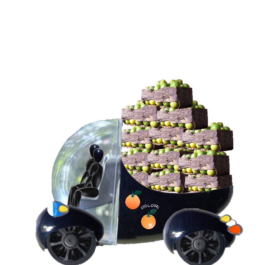 Ovoloval ©️ Ovoloval ©️